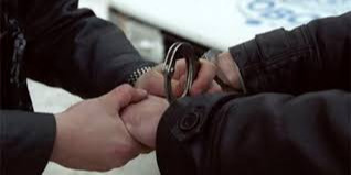 Мансууруулах үйлчилгээтэй ургамлыг түүж бэлтгэн, хэрэглэдэг бүлэг этгээдүүдийг дайчлан баривчилжээ